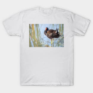 Common Gallinule Looking Fluffy T-Shirt